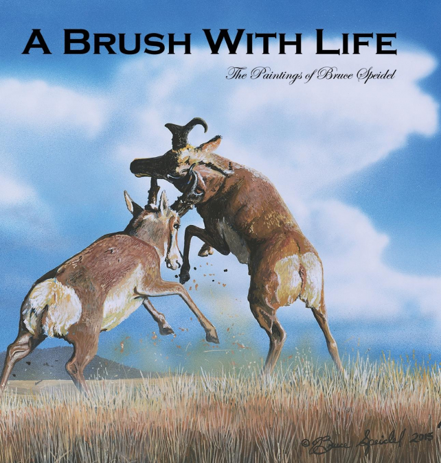 A Brush With Life