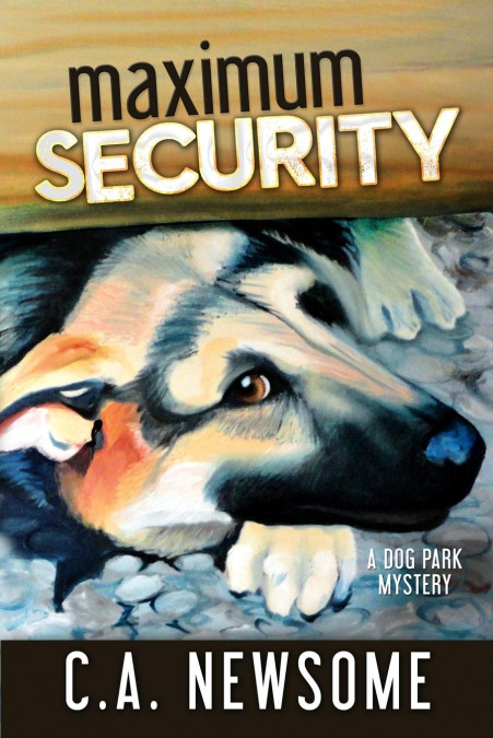 Maximum Security