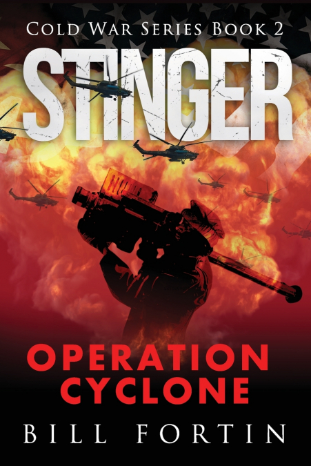 Stinger Operation Cyclone