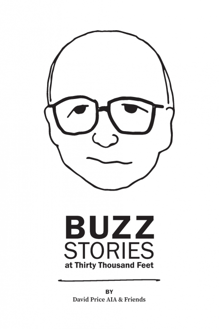 Buzz Stories at Thirty Thousand Feet
