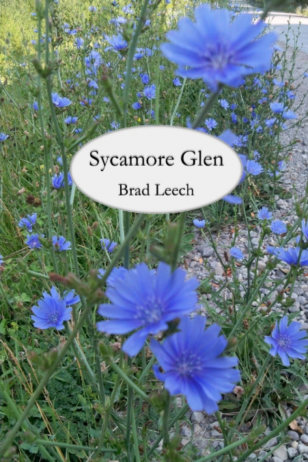 Sycamore Glen