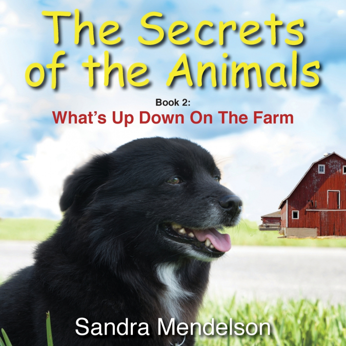 The Secrets of The Animals