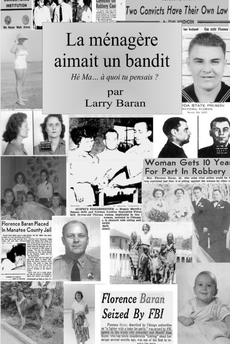 La ménagère aimait un bandit