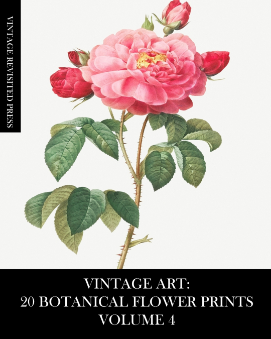 Vintage Art