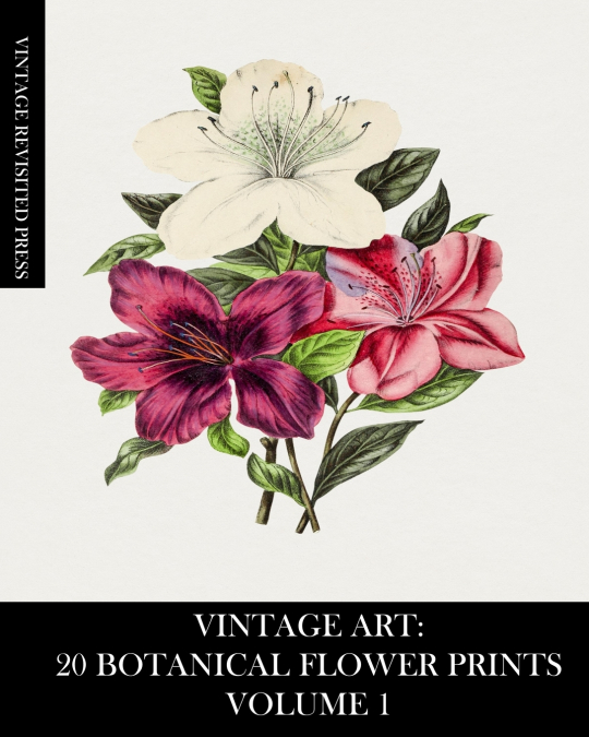 Vintage Art