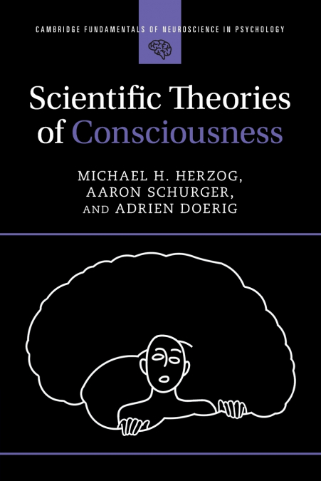 Scientific Theories of Consciousness