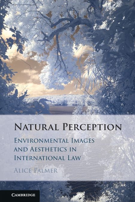 Natural Perception