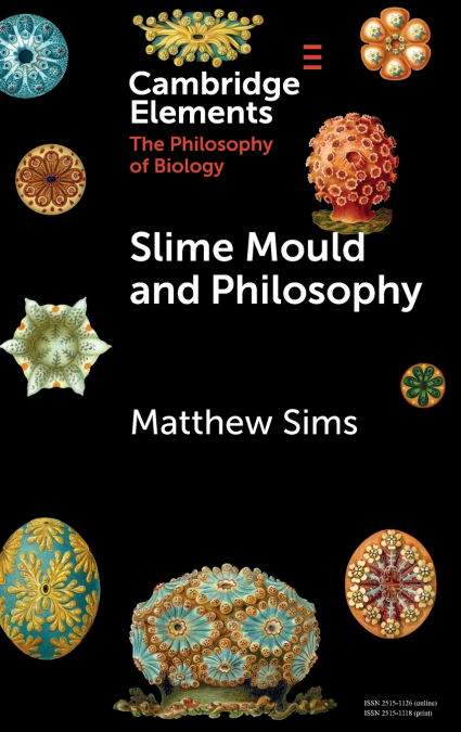 Slime Mould and Philosophy