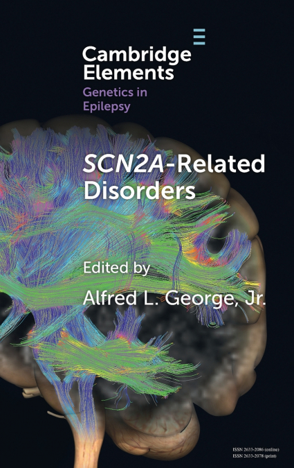 SCN2A-Related Disorders