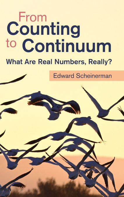 From Counting to Continuum