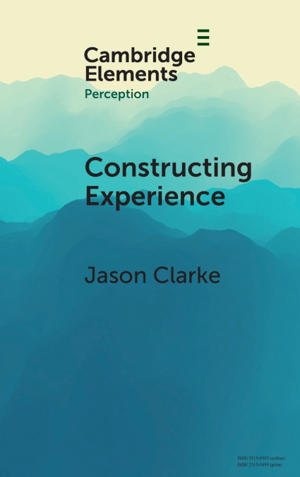 Constructing Experience