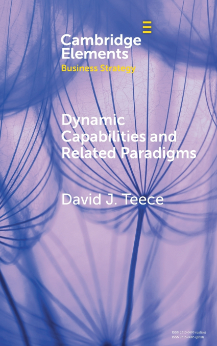 Dynamic Capabilities and Related Paradigms