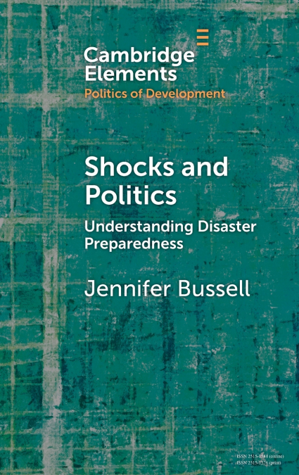 Shocks and Politics
