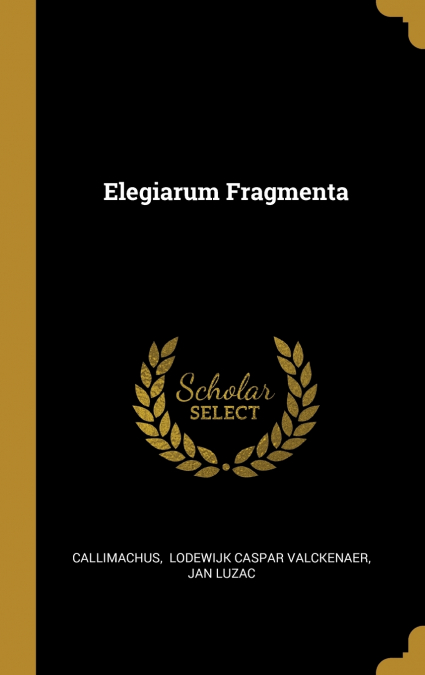 Elegiarum Fragmenta