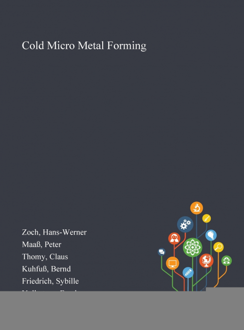 Cold Micro Metal Forming