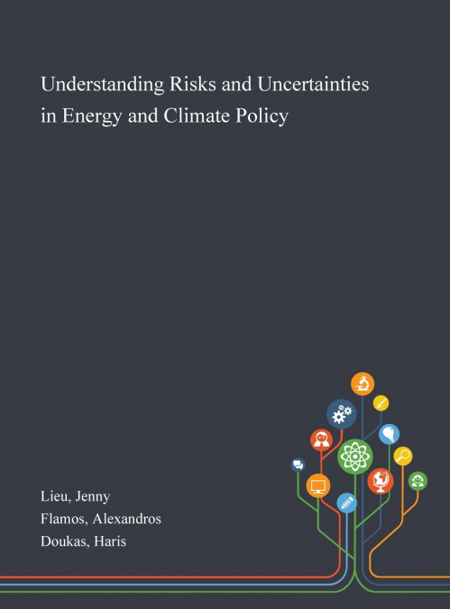 Understanding Risks and Uncertainties in Energy and Climate Policy