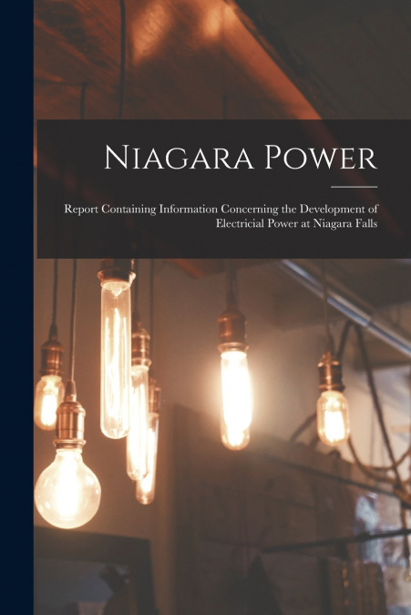 Niagara Power [microform]