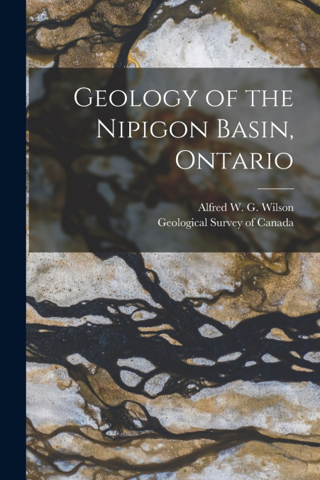 Geology of the Nipigon Basin, Ontario [microform]