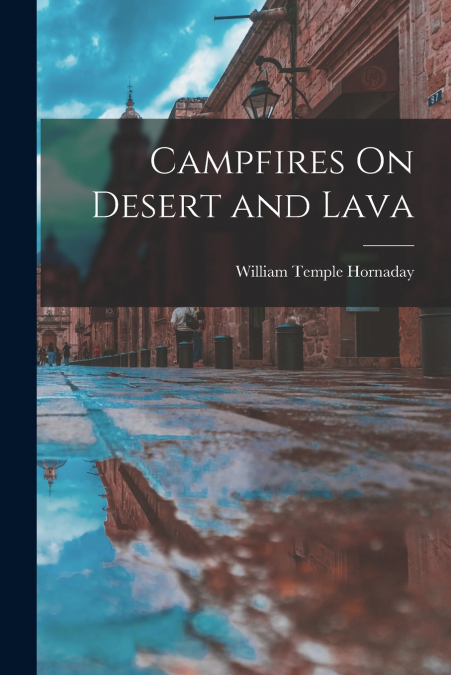 Campfires On Desert and Lava