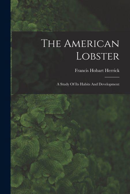 The American Lobster