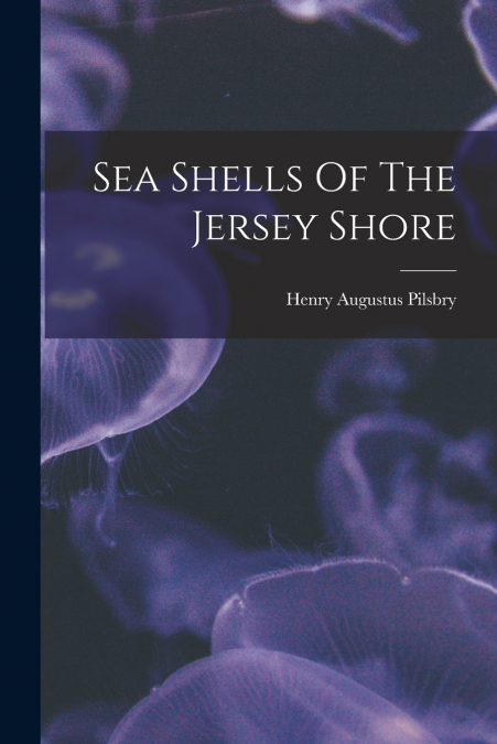 Sea Shells Of The Jersey Shore