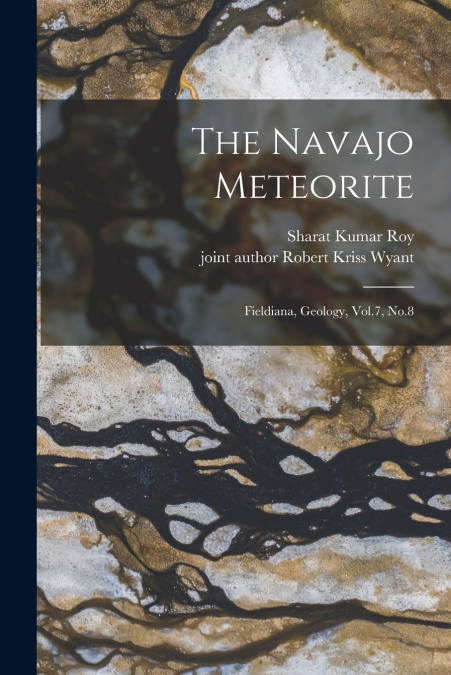 The Navajo Meteorite