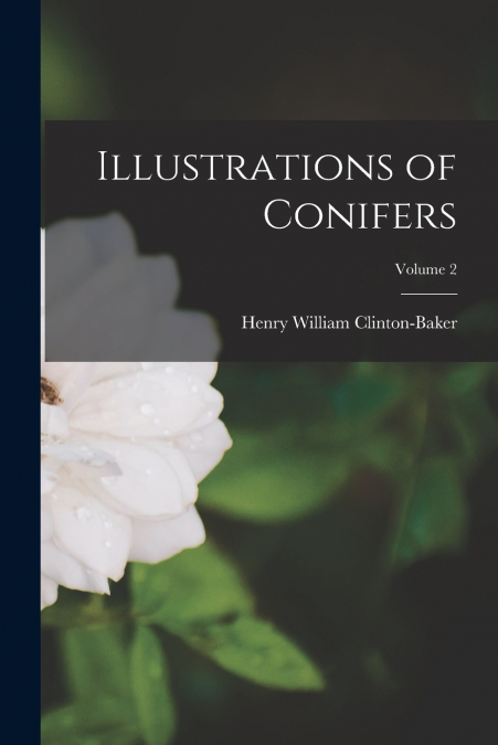 Illustrations of Conifers; Volume 2