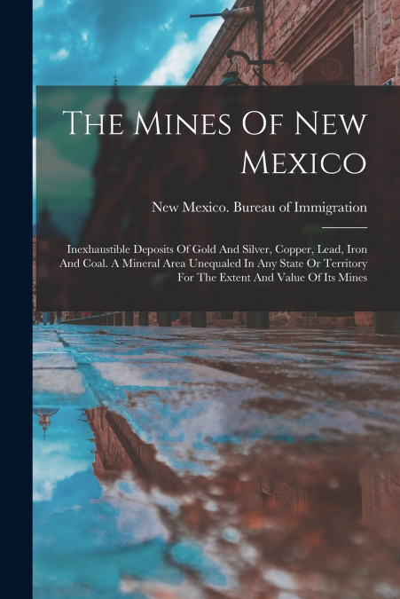 The Mines Of New Mexico