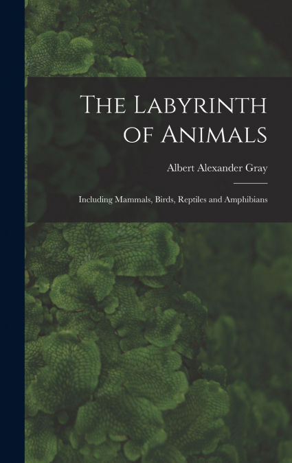 The Labyrinth of Animals