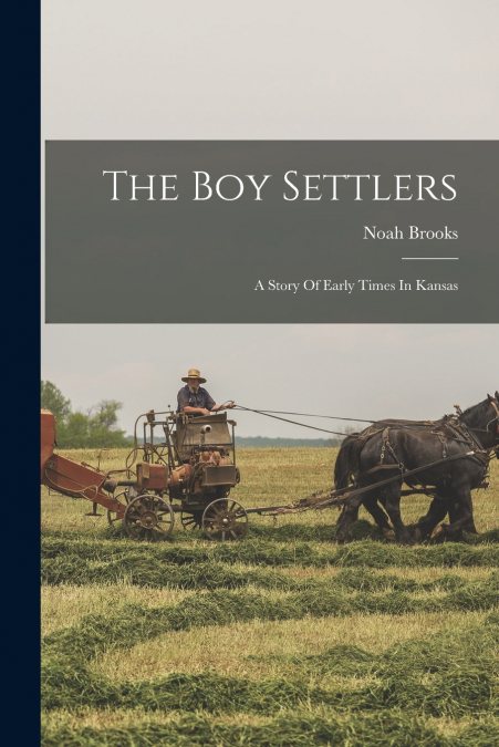 The Boy Settlers