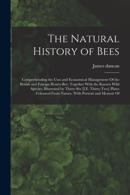 The Natural History of Bees