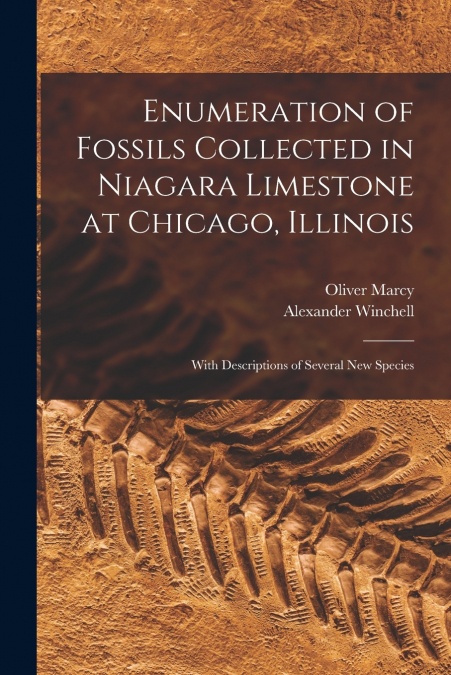Enumeration of Fossils Collected in Niagara Limestone at Chicago, Illinois ; With Descriptions of Several new Species
