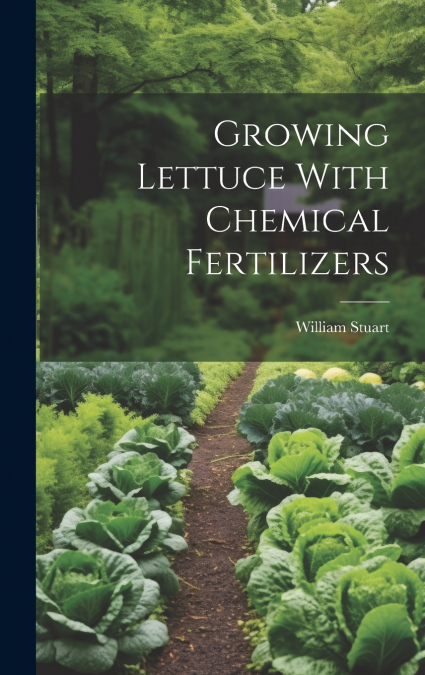 Growing Lettuce With Chemical Fertilizers