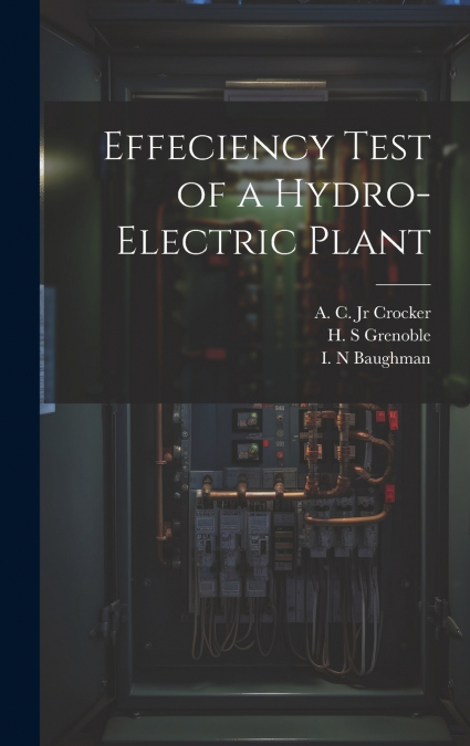 Effeciency Test of a Hydro-electric Plant