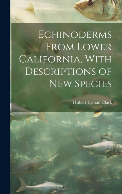Echinoderms From Lower California, With Descriptions of new Species