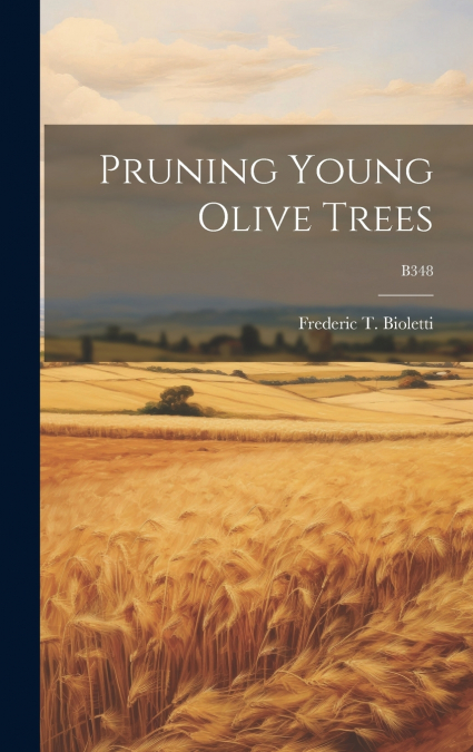 Pruning Young Olive Trees; B348
