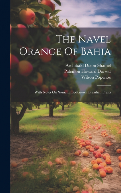 The Navel Orange Of Bahia