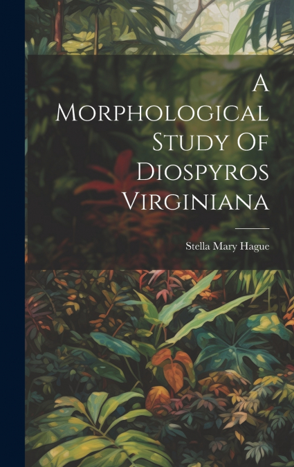 A Morphological Study Of Diospyros Virginiana