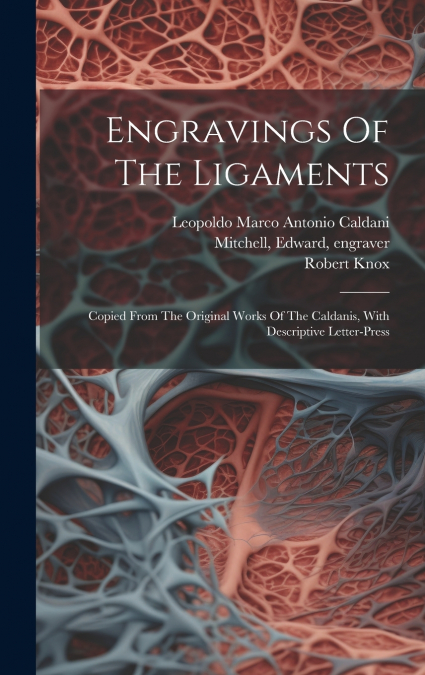 Engravings Of The Ligaments