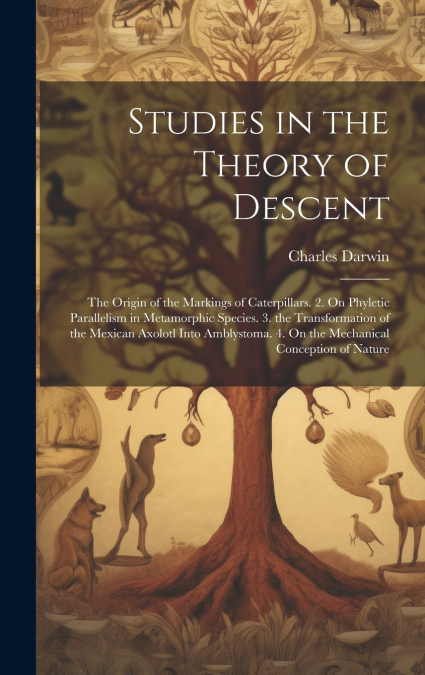 Studies in the Theory of Descent