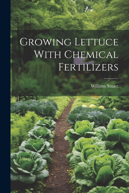 Growing Lettuce With Chemical Fertilizers