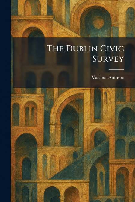 The Dublin Civic Survey