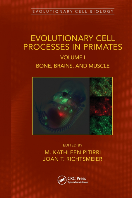 Evolutionary Cell Processes in Primates