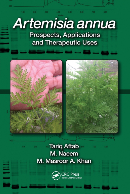 Artemisia annua