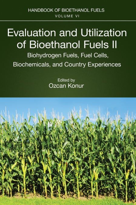 Evaluation and Utilization of Bioethanol Fuels. II.