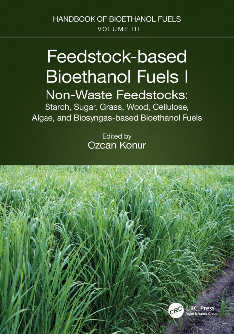 Feedstock-based Bioethanol Fuels. I. Non-Waste Feedstocks