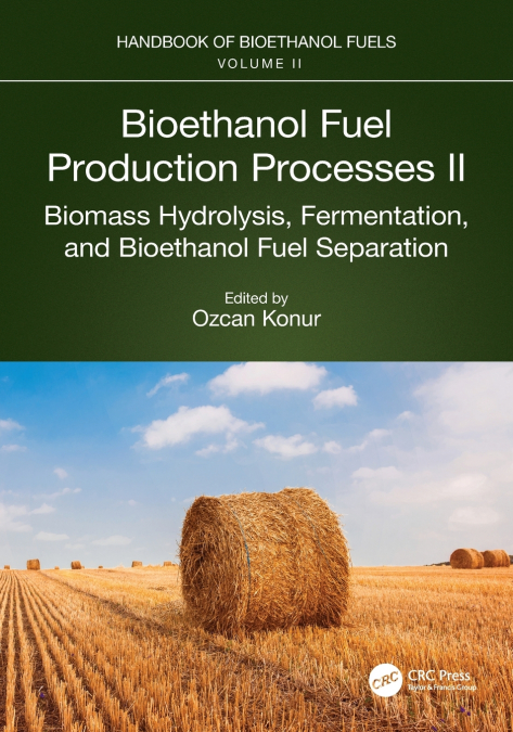 Bioethanol Fuel Production Processes. II