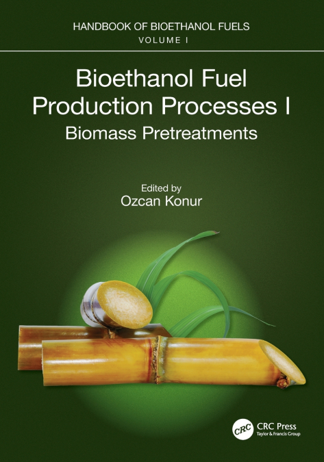 Bioethanol Fuel Production Processes. I