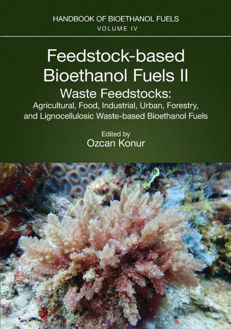 Feedstock-based Bioethanol Fuels. II. Waste Feedstocks