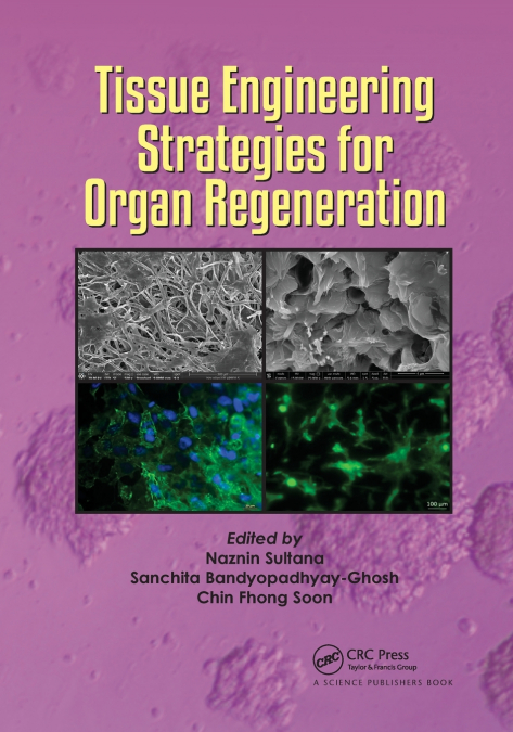 Tissue Engineering Strategies for Organ Regeneration